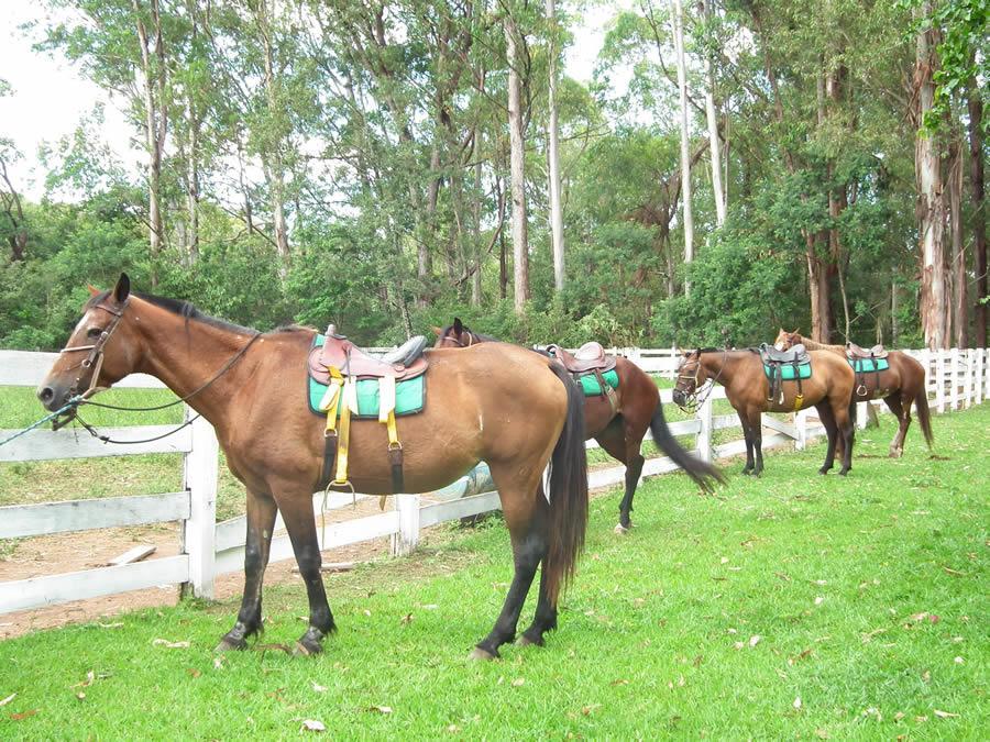 Pousada Fazenda Sao Bento Alto Paraiso de Goias Luaran gambar